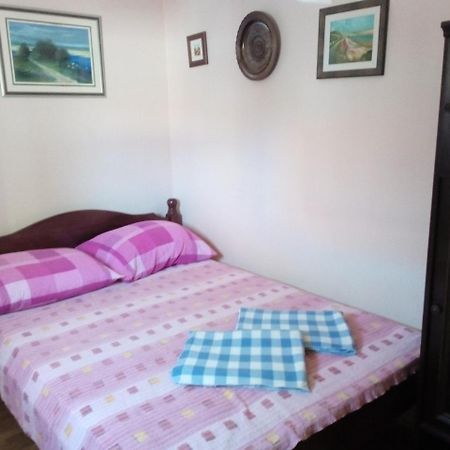Apartment "Mislav" 고르니 카린 외부 사진